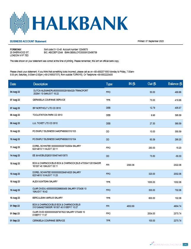 Download Halkbank business statement Word and PDF template Photoshop template